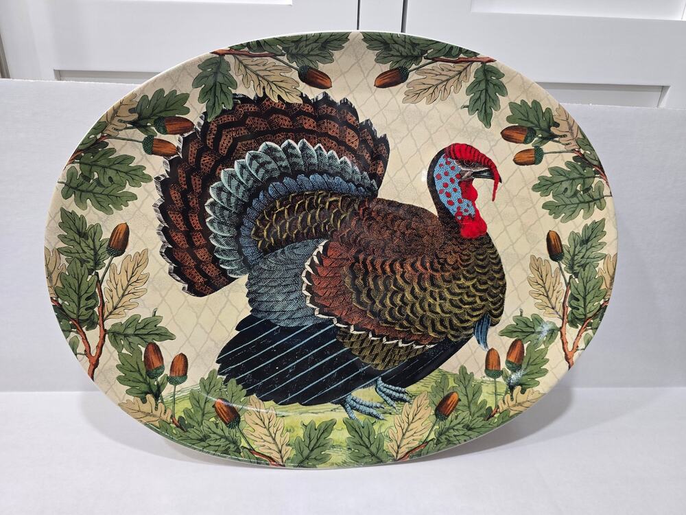 NWT John Derian Target 2024 Turkey & Acorns Stoneware Serving Platter Fall Decor